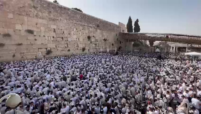 WhatsApp Video 2022-05-29 at 08.41.26