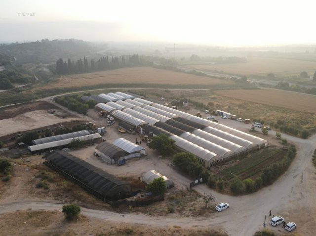 סולקה הפלישה הבדואית ל'אדמות הביל"ויים' בגדרה
