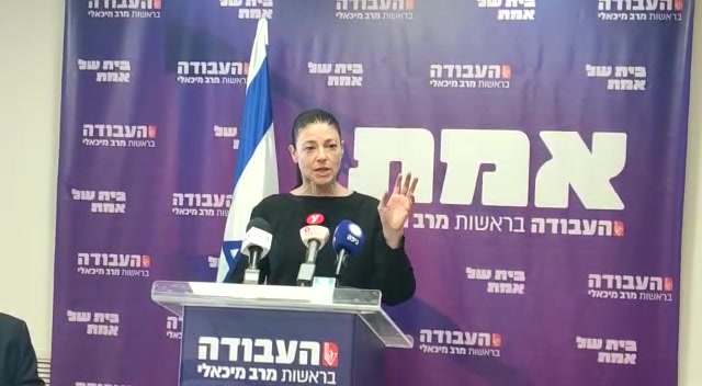 מרב מיכאלי אמנת איסטנבול