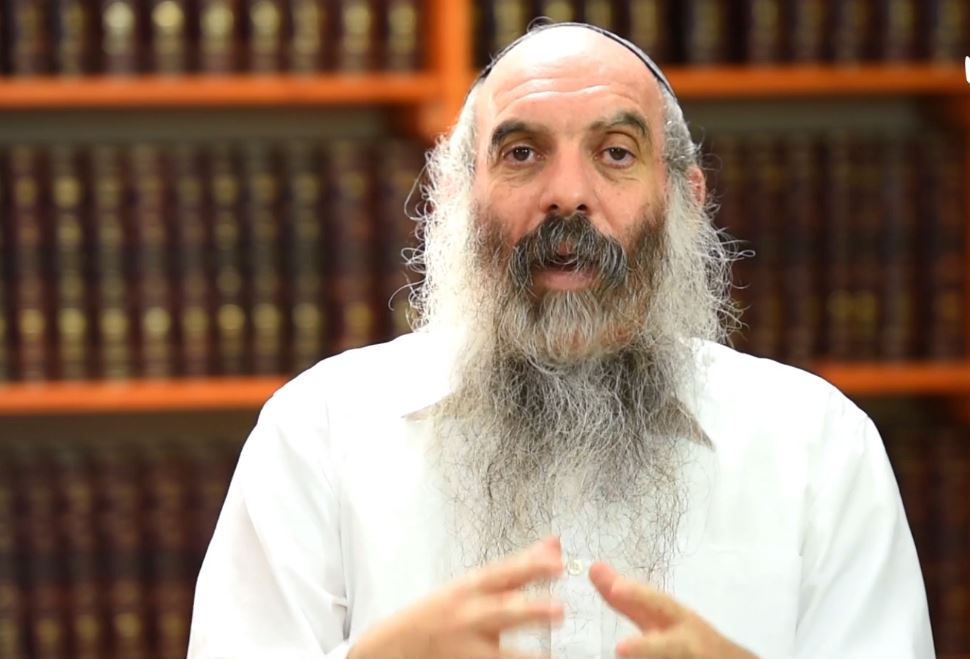 הצילו את הזוגיות: שיעורים משני חיים מאת הרב שפירא