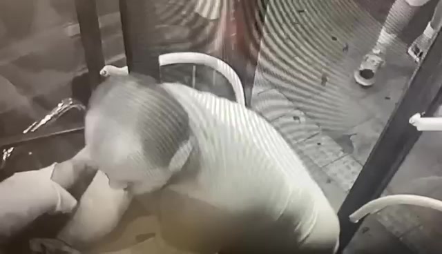 צפו: תקיפה חמורה של נהג מטרונית בחיפה