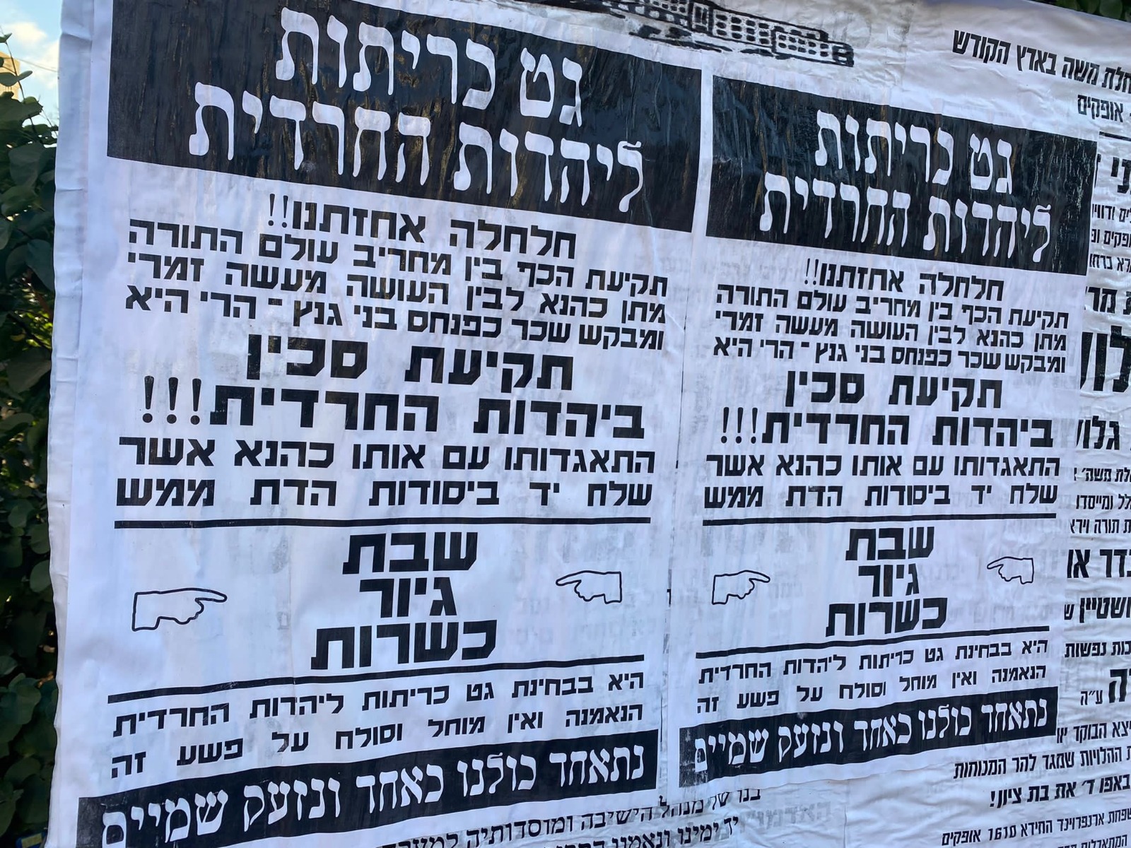 "צירוף מתן כהנא – תקיעת סכין ביהדות החרדית"