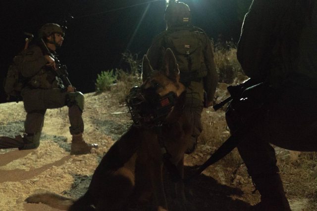 בלילה אחד: לוחמי צה"ל לכדו 12 מבוקשים | תיעוד
