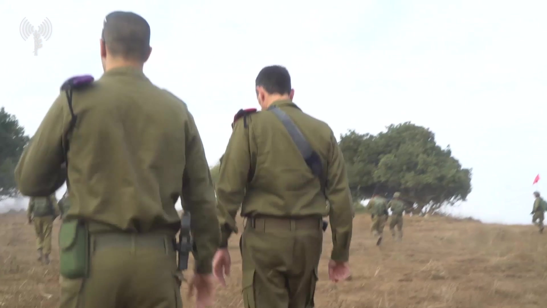 הרצי הלוי