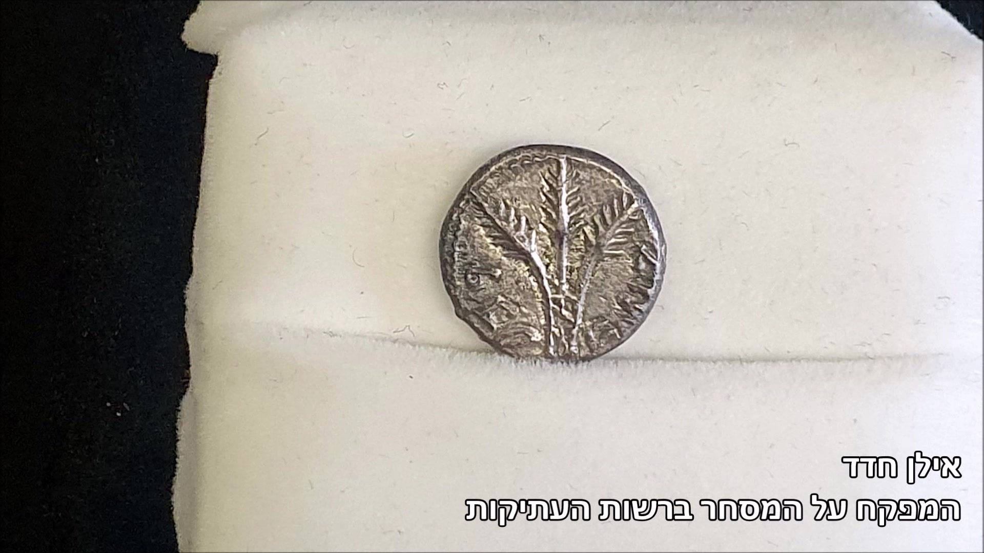 סרטון המטבע. צילום מירי בר רשות העתיקות
