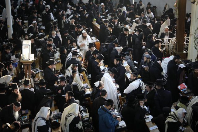 קיבוץ החסידים באומן תשפ"ג (חיים גולדברג)