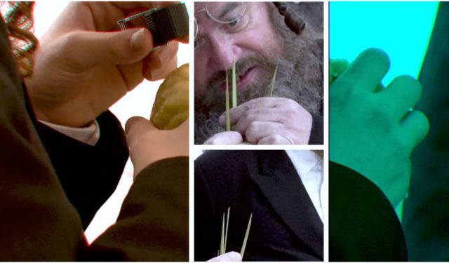 מראות שוק ארבעת המינים בירושלים