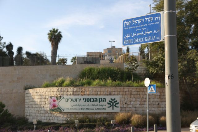 קרדיט: דוברות עיריית ירושלים