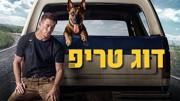 נובמבר מלכותי בפרטנר TV