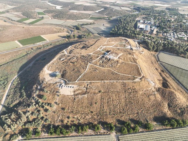 נגד כינים: התגלה המשפט הקדום ביותר שנכתב