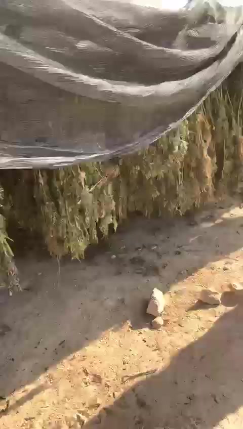 WhatsApp Video 2022-11-16 at 20.25.02