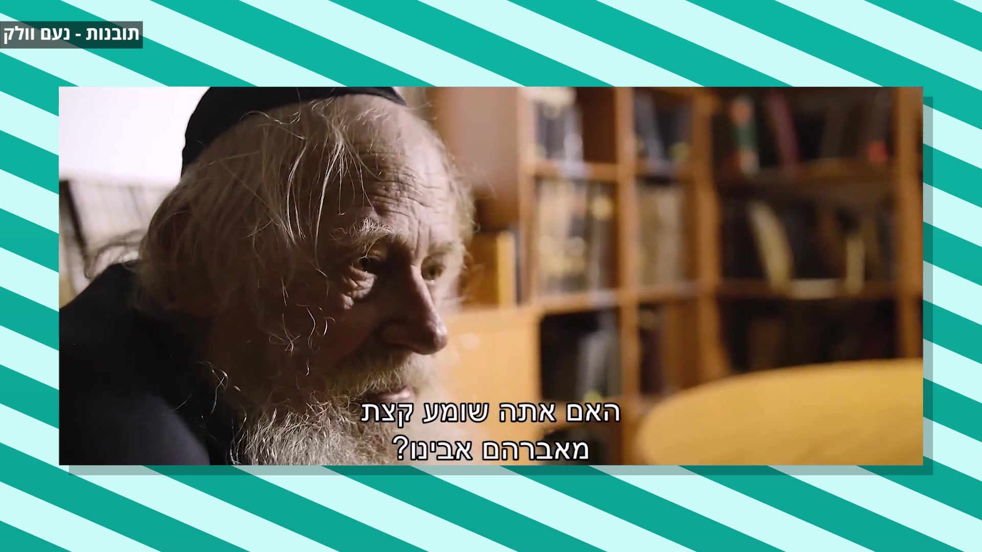 שטיינזלץ ראשי