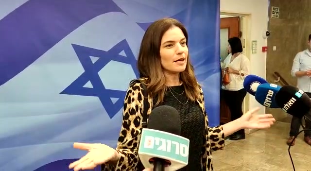 תמר זנדברג מסכמת: "מרצ סיימה את דרכה"