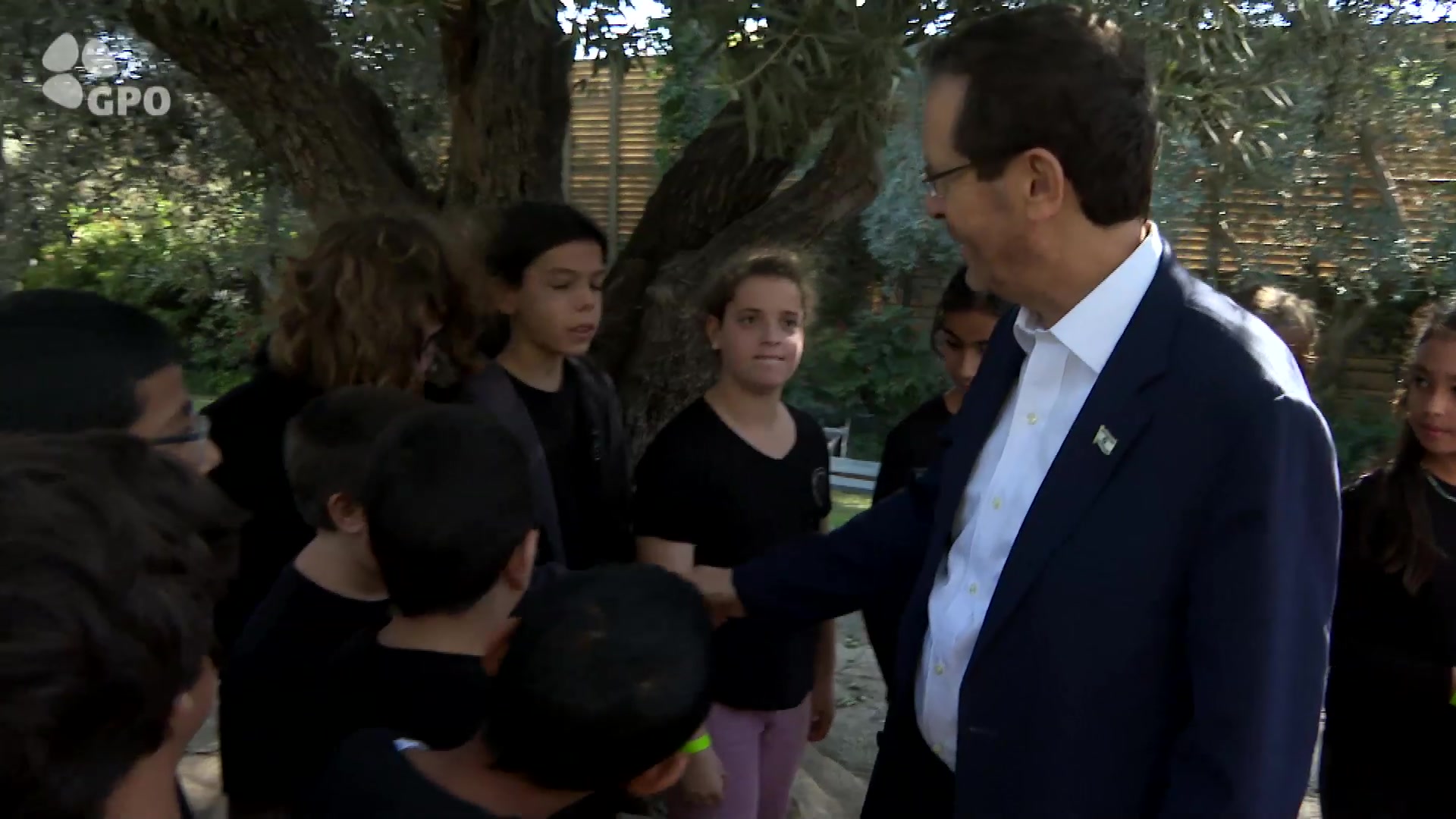 מסיק_זיתים_2