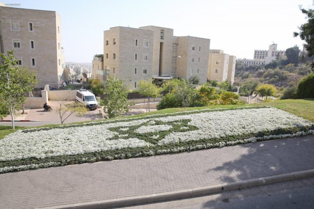 תושבי ירושלים יבחרו את הגינה הכי יפה בעיר