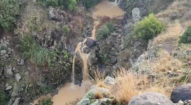 WhatsApp Video 2022-11-26 at 08.08.23