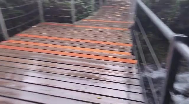 WhatsApp Video 2022-11-26 at 08.09.23
