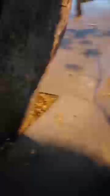 video_2022-11-26_21-53-38