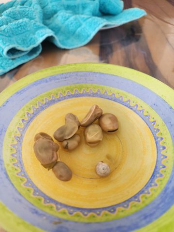 איכס: מצאה שבלול מת בשקית פולים קפואה