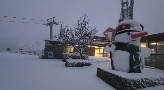 WhatsApp Video 2023-01-31 at 06.27.22
