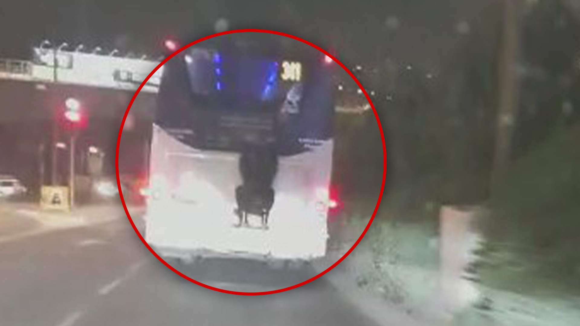 אתגר חדש? צעיר נתלה על אוטובוס בירושלים | תיעוד