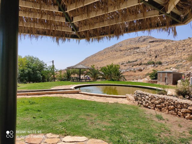 אביב הגיע | מעיינות מומלצים באיזור ירושלים