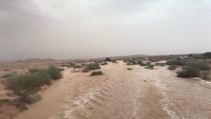 WhatsApp Video 2023-04-10 at 18.25.51