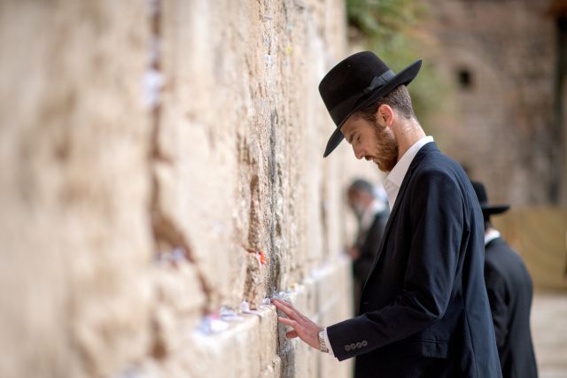 (Yunqing Shi\shutterstock :צילום)