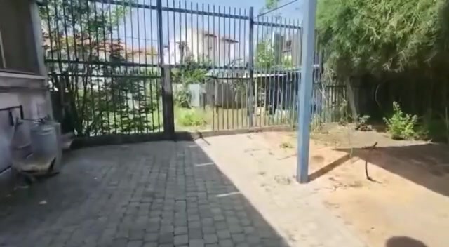 אמל"ח שנמצא בבית הספר בלוד (צילום: משטרת ישראל)