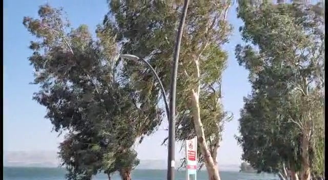 WhatsApp Video 2023-05-05 at 08.59.07