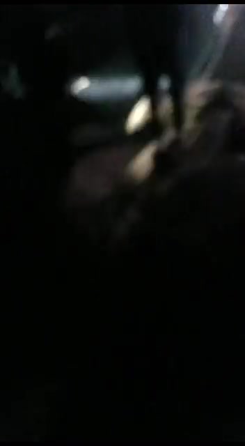 הרס שכם 27 א