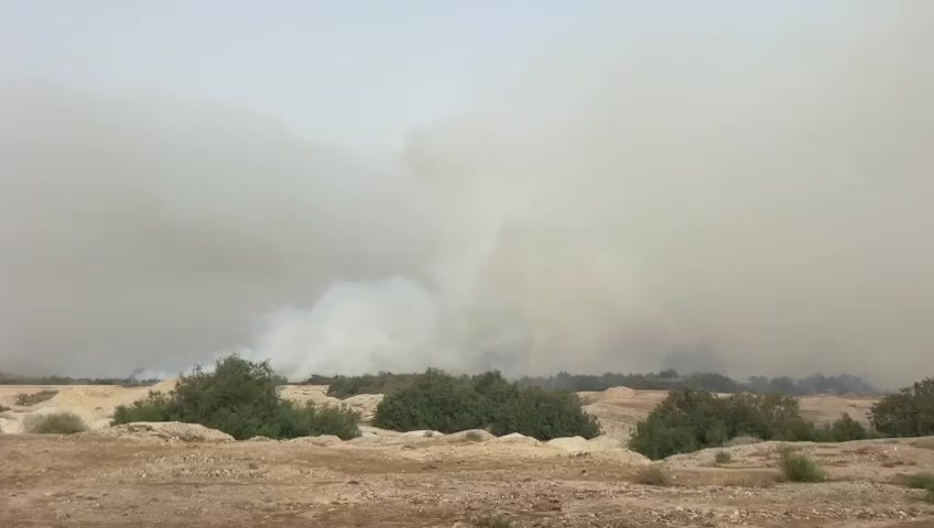 תיעוד 2 השריפה בקליה