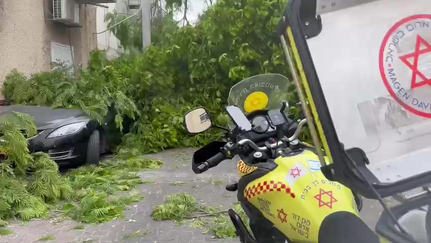 קריסת עץ תל אביב