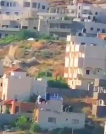 ג'נין
