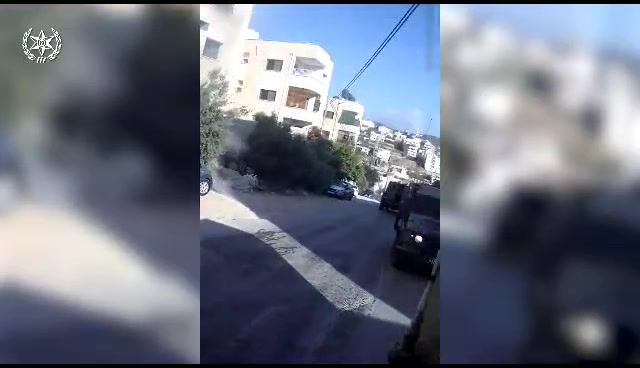 'נין