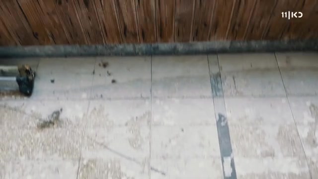 המדרשייה