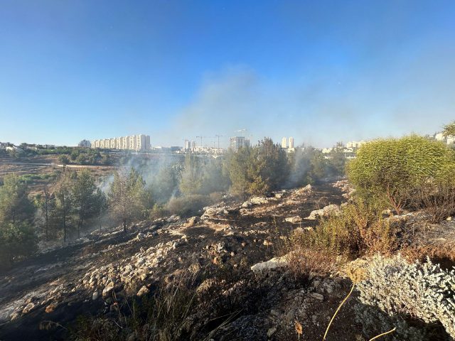 מודיעין: שריפה פרצה בפארק, המטיילים פונו