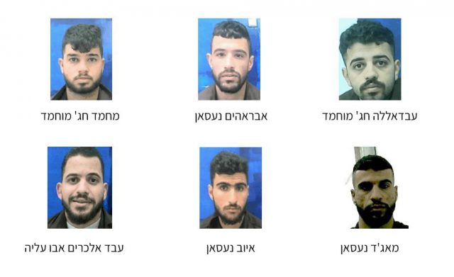 החוליה שנעצרה