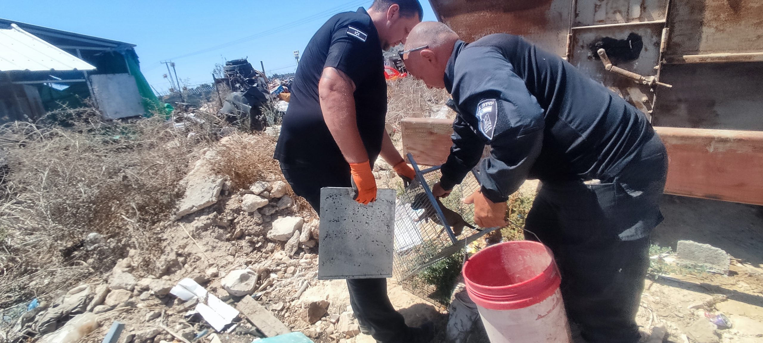 'הוחזקו בתנאים קשים': התעללו בגורי כלבים ונתפסו