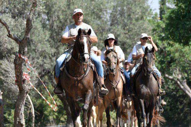 ממגרים יחד את תופעת הוונדליזם ביערות קק"ל