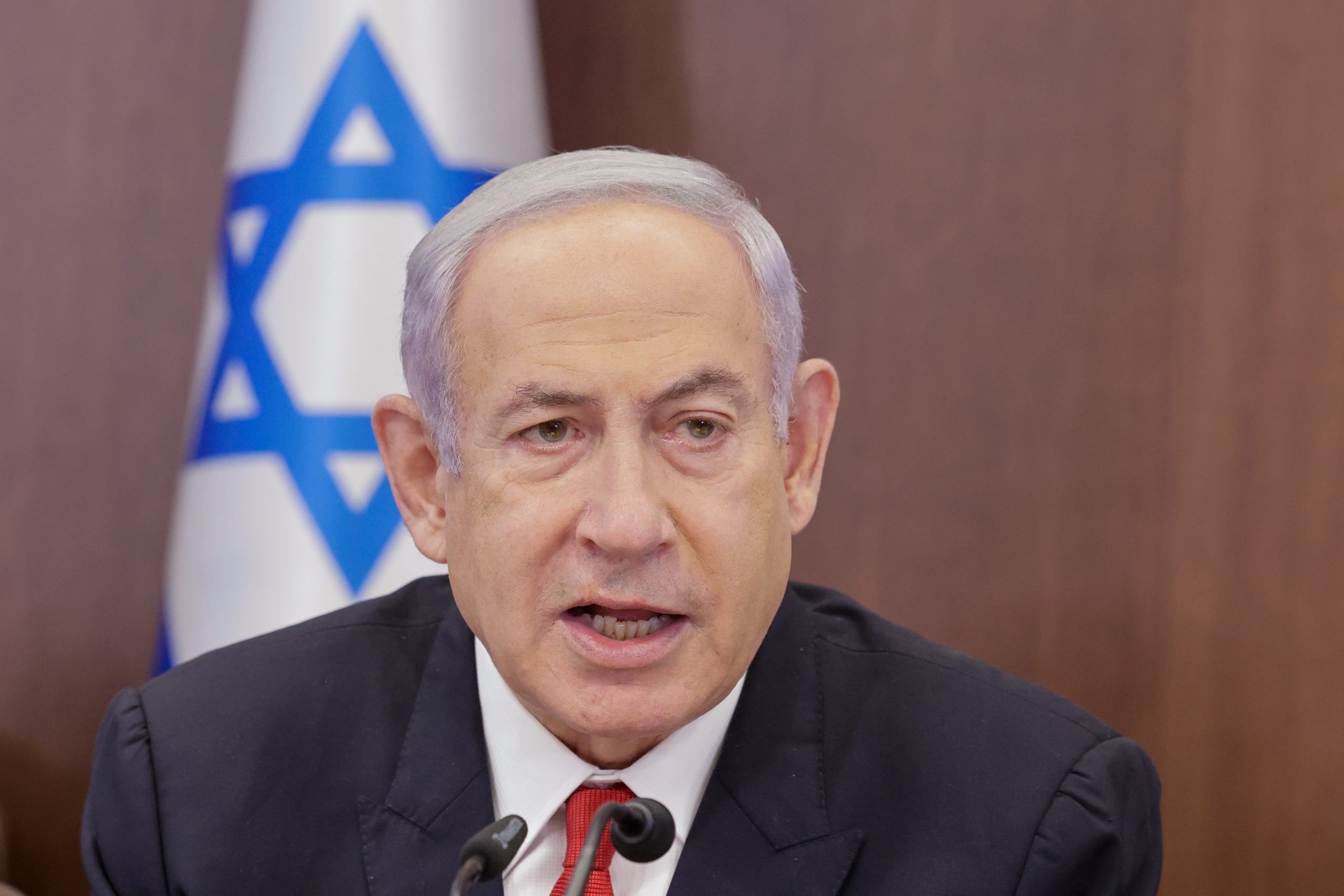 (צילום: שראל שלם/פלאש 90(