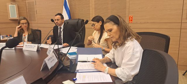 מיכל וולדיגר בוועדה, החוק יעזור למתמודדי נפש