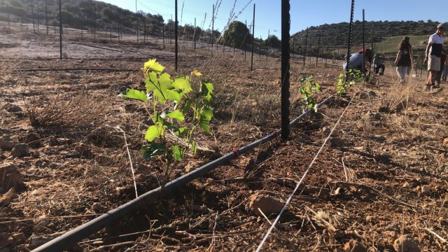 30 יום לפיגוע בעלי: כך הונצחו הנרצחים