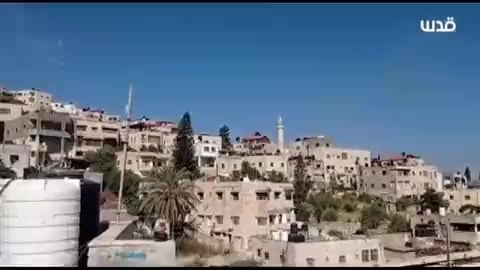 גנין