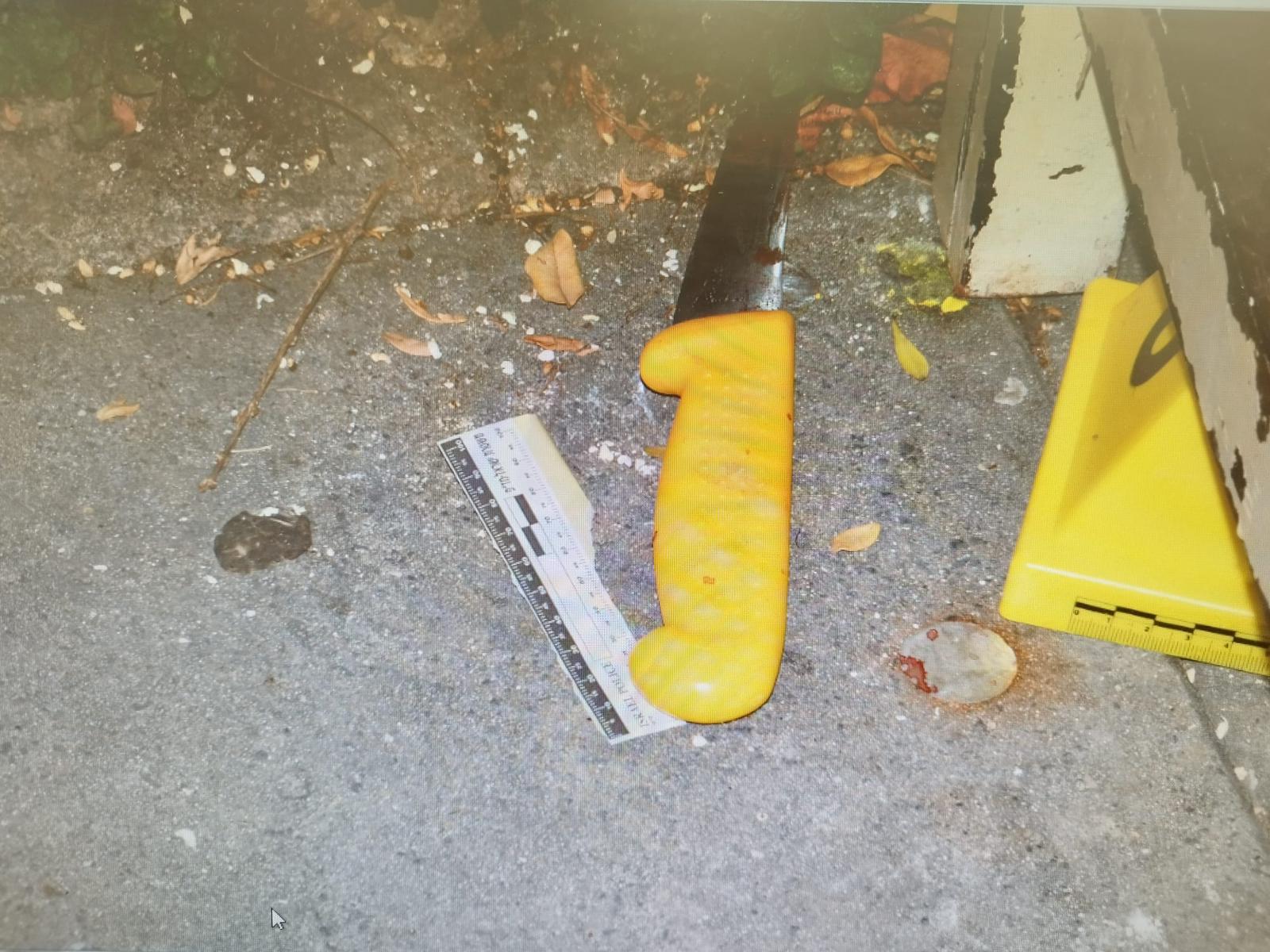 נעצרו המחבלים מהפיגוע בגילה: הגיעו רגלית מהכפר