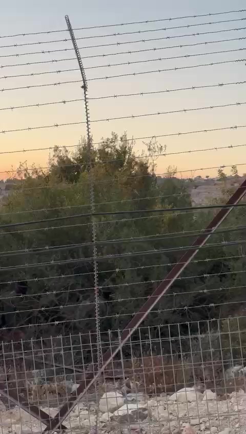 חיזבאללה בגבול