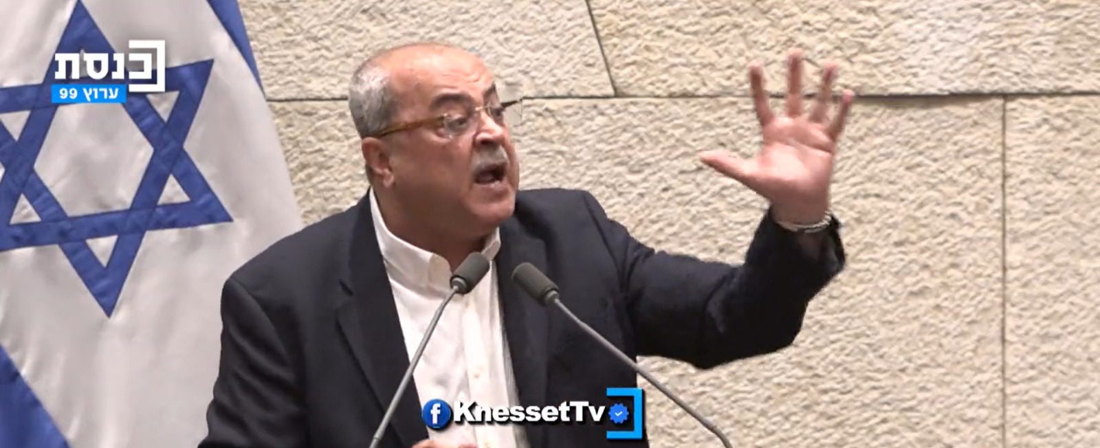 טיבי תקף את הח"כית: 'תנאמי בגרמנית'. צפו