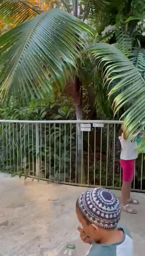 WhatsApp Video 2023-08-06 at 11.43.24