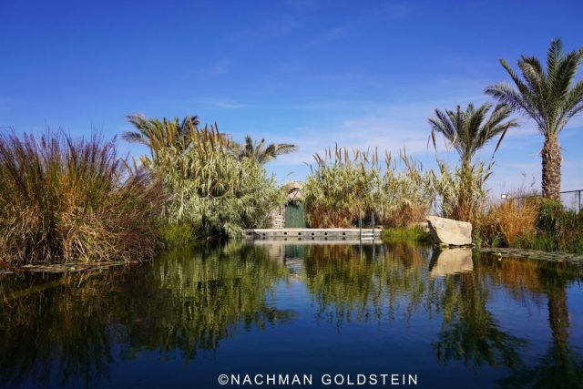 קיץ בגוש עציון: מעיינות, הופעות וערב בשר ויין