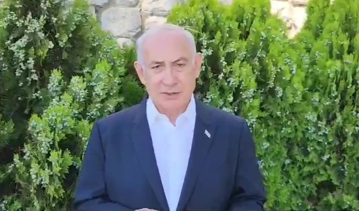 WhatsApp Video 2023-08-10 at 16.46.41